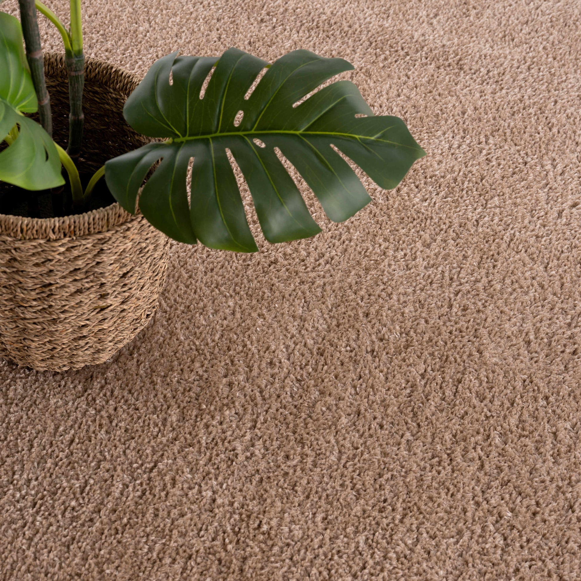 Judy Brown Washable Area Rug - Promo