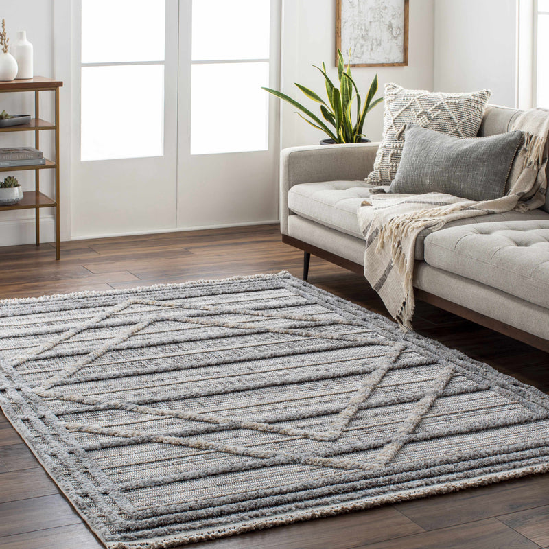 Barurao Area Rug - Clearance