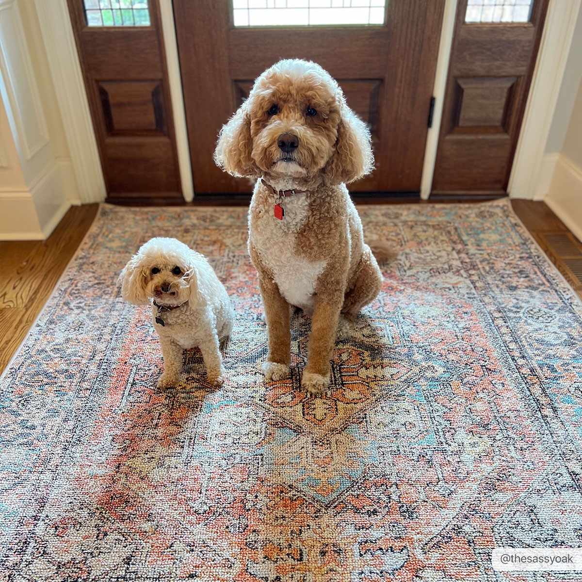Beck Non-Slip Washable Rug - Promo