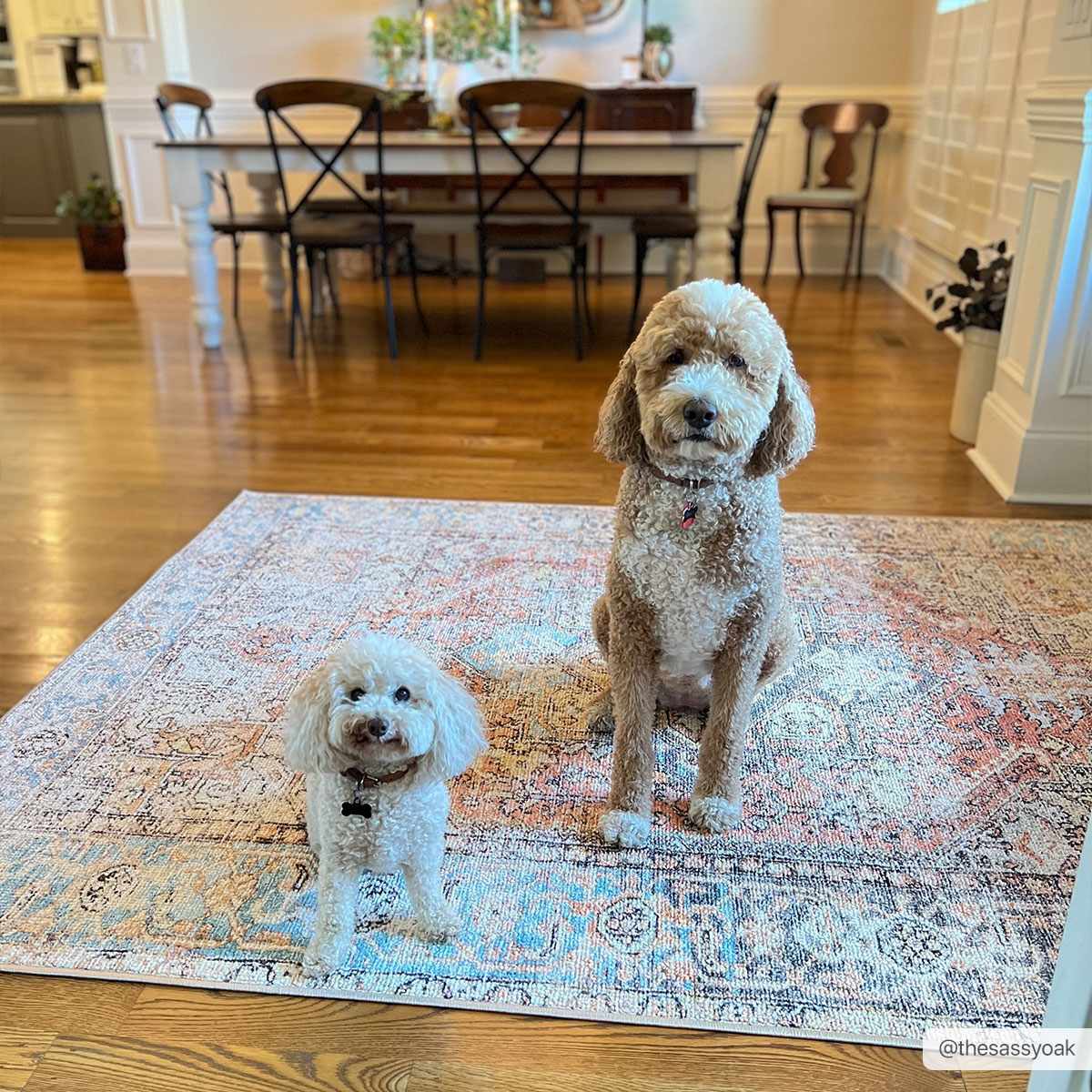 Beck Non-Slip Washable Rug - Promo