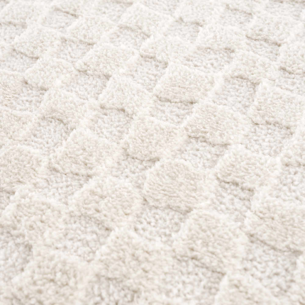 Leryn Ivory Checkered Area Rug