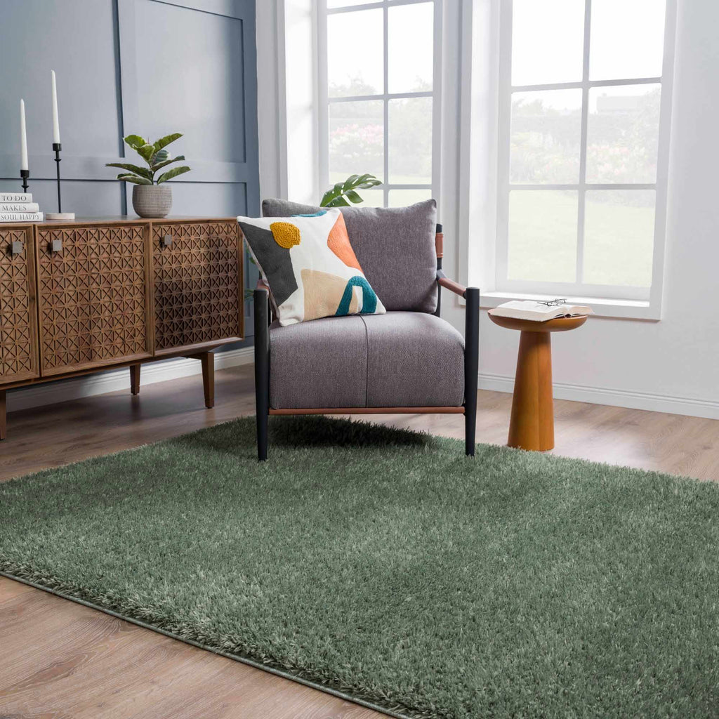 Faina Solid Green Shag Washable Area Rug - Clearance