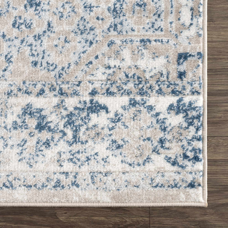 Amir Area Rug - Clearance