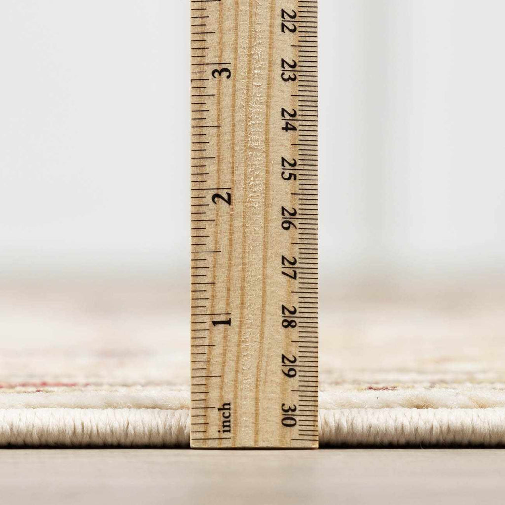 Neola White/Brown Damask Area Rug