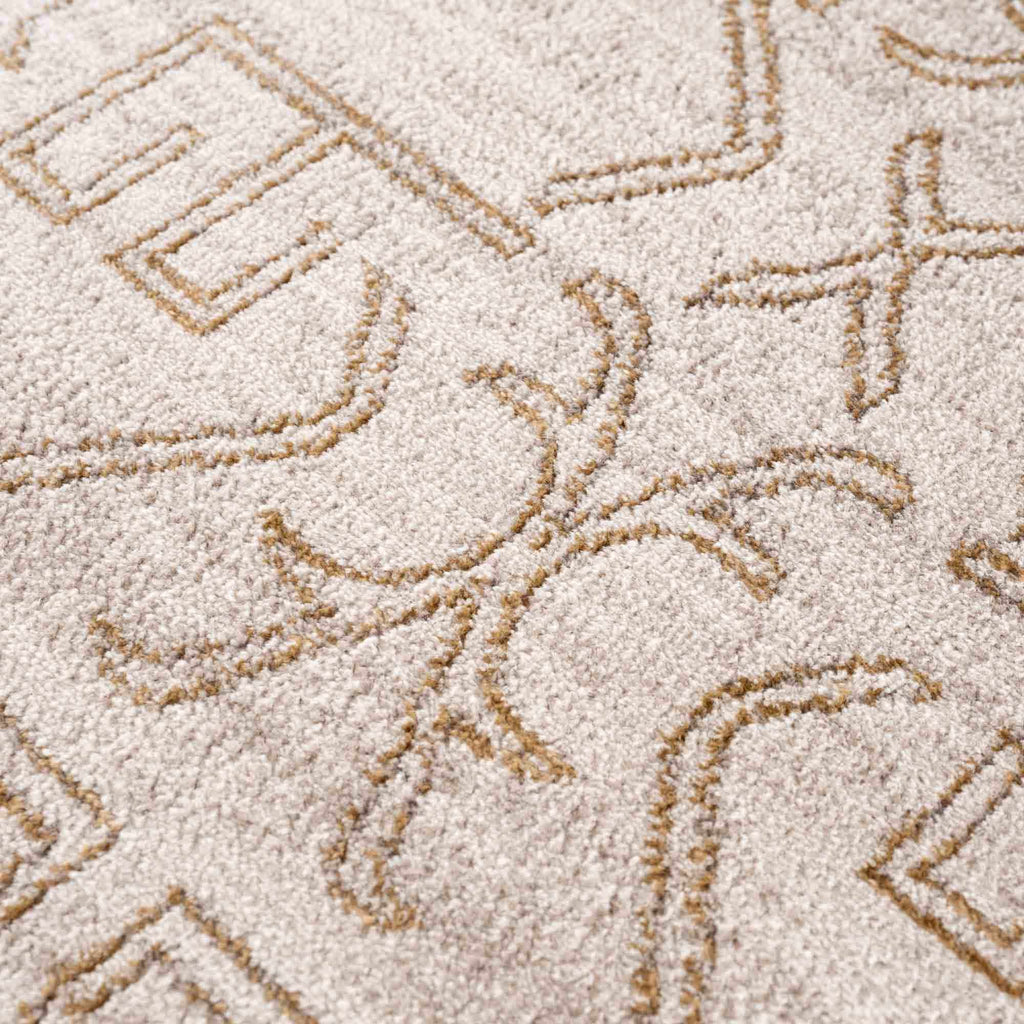 Divya Cream & Gold Area Rug - Clearance