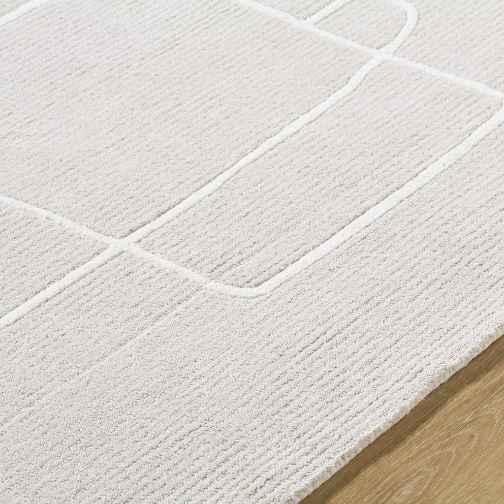 Vatsa Gray Abstract Area Rug