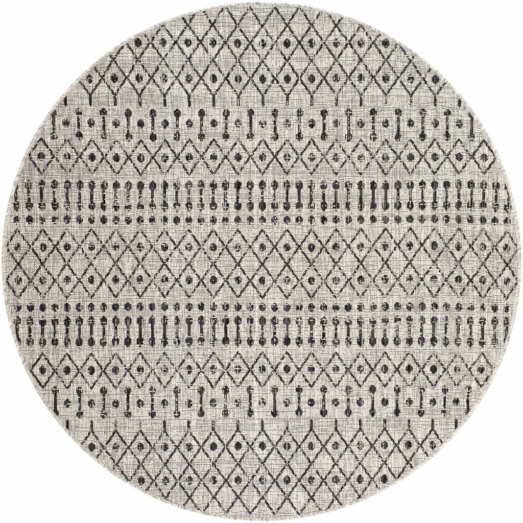 Wallkill Area Rug