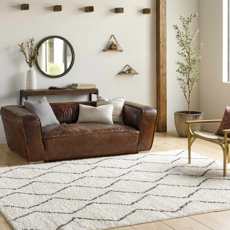 Assiniboia Area Rug - Clearance
