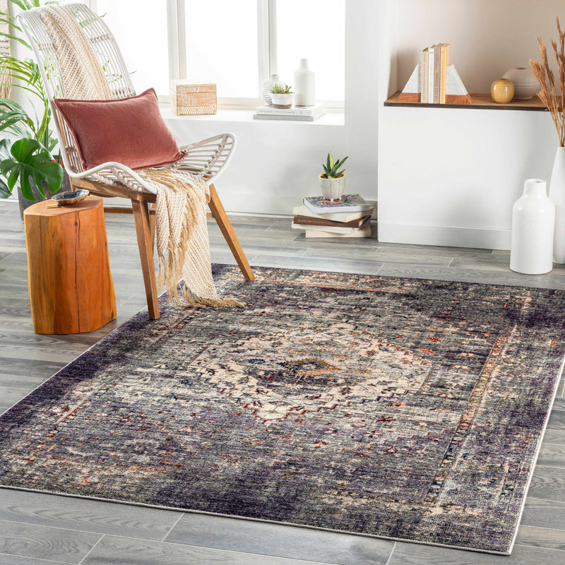 Basiad Washable Area Rug - Clearance