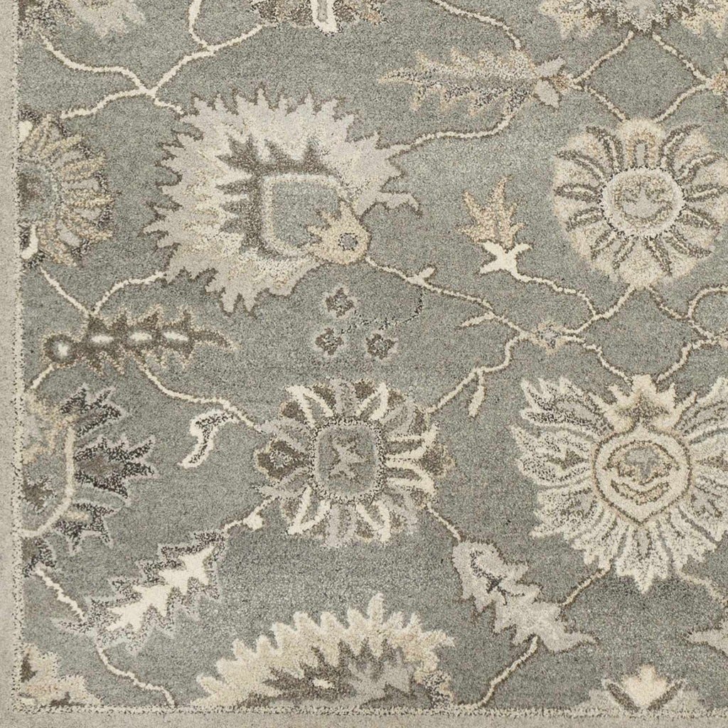 Dulles Area Rug