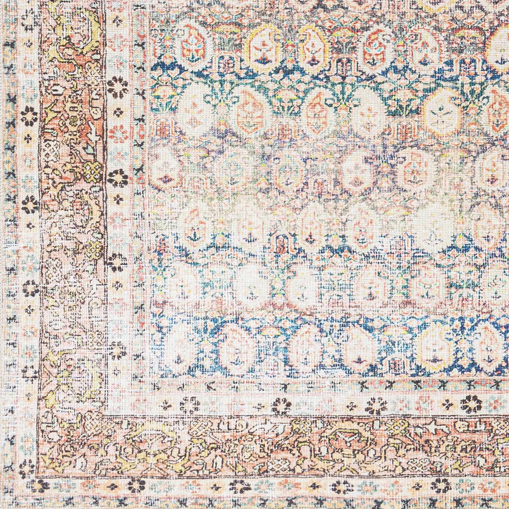 Maligaya Distressed Washable Rug - Clearance