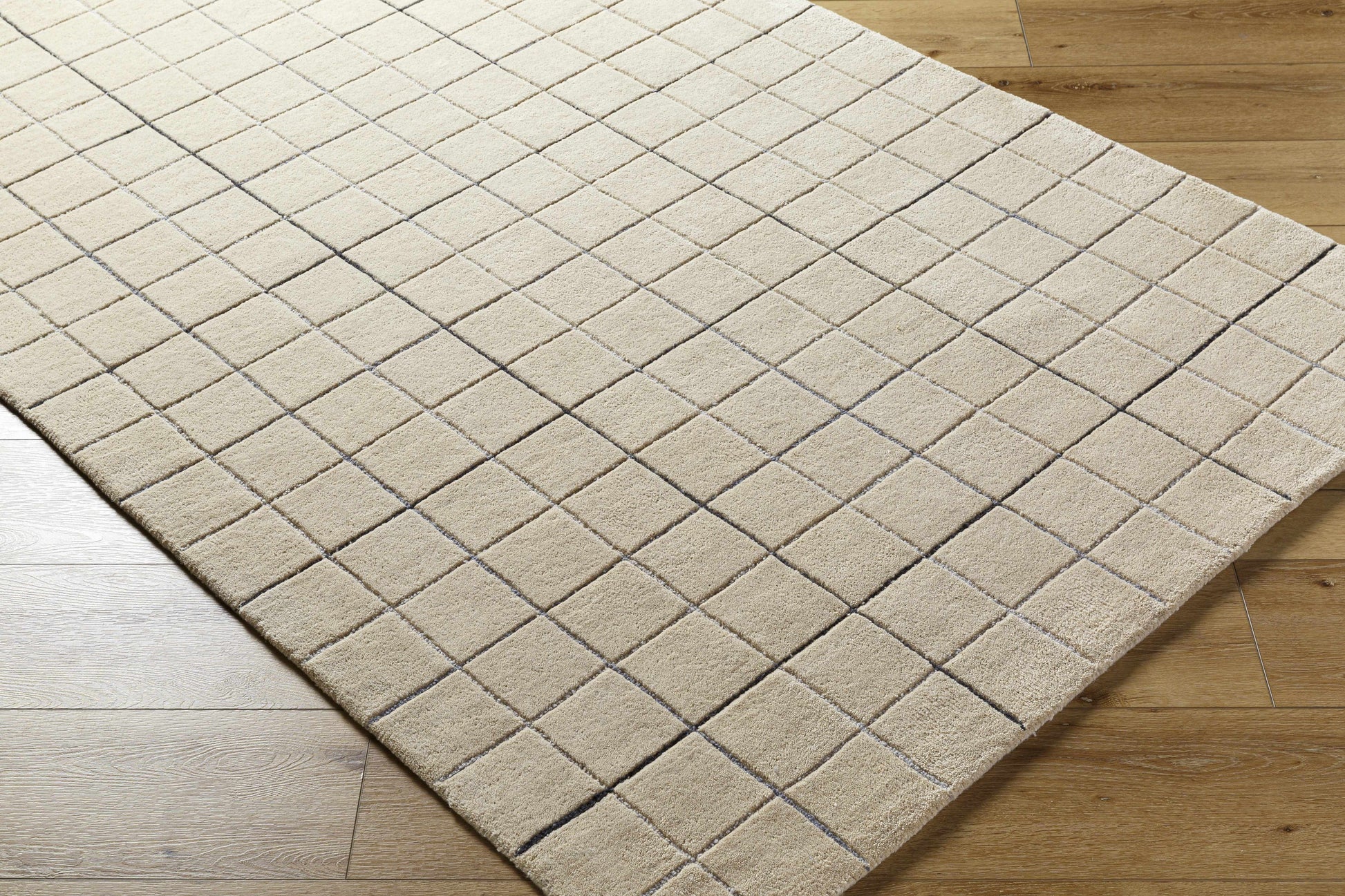 Toshi Beige Area Rug
