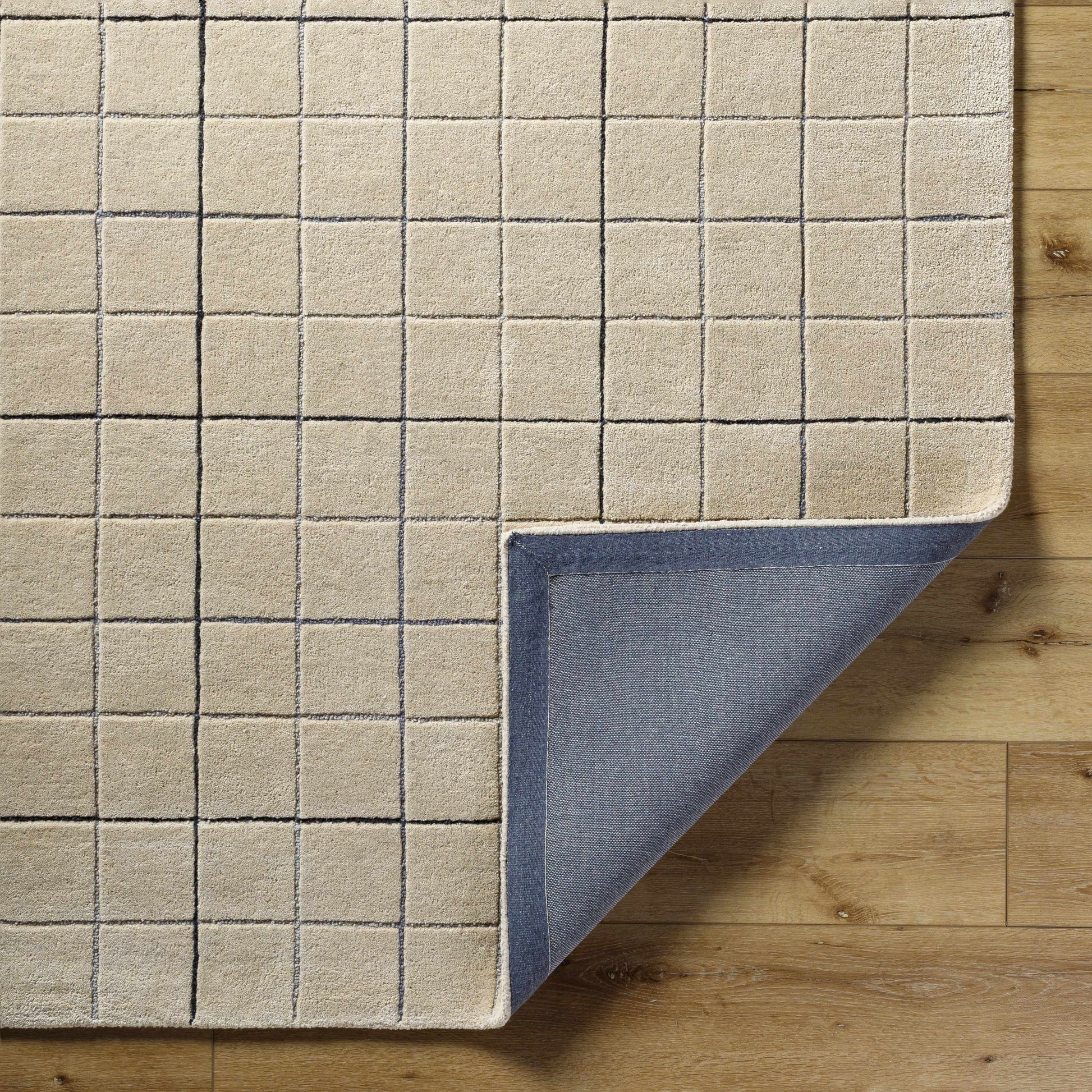 Toshi Beige Area Rug