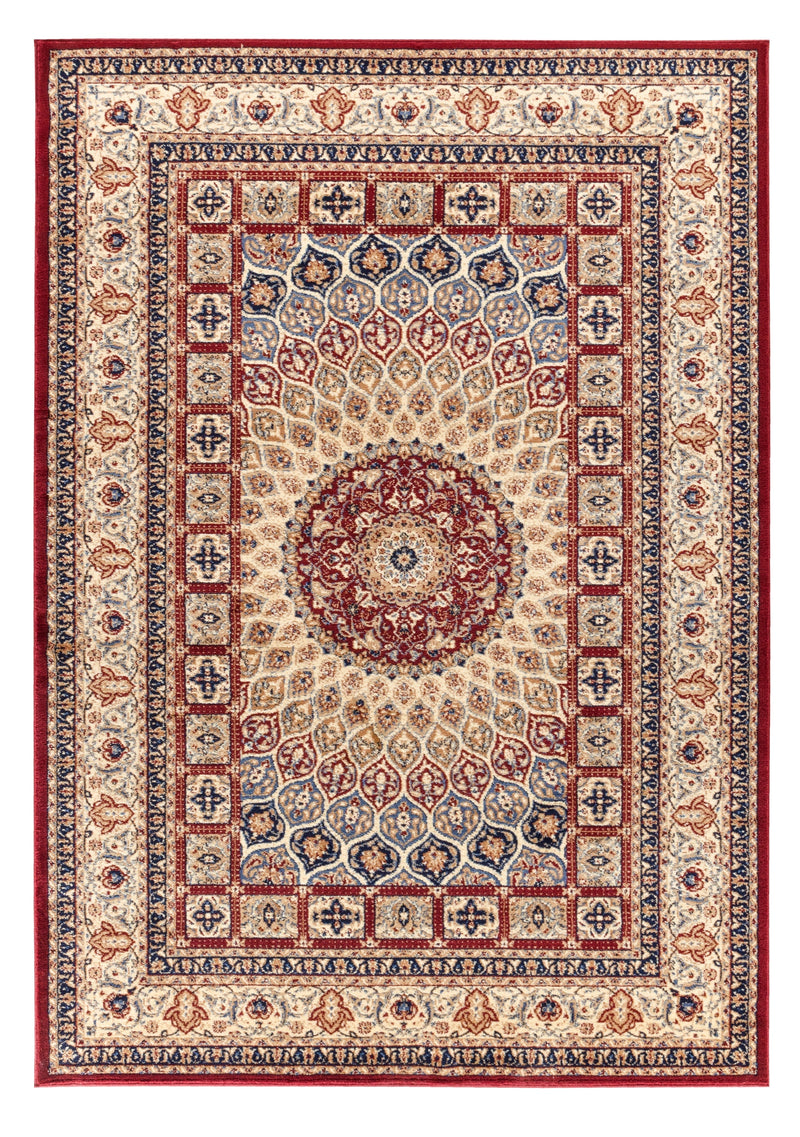 Neda Burgundy Medallion Oriental Area Rugs