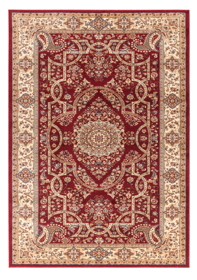 Roya Burgundy Medallion Oriental Area Rugs