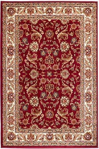 Mahsa Burgundy Persian Floral Area Rugs