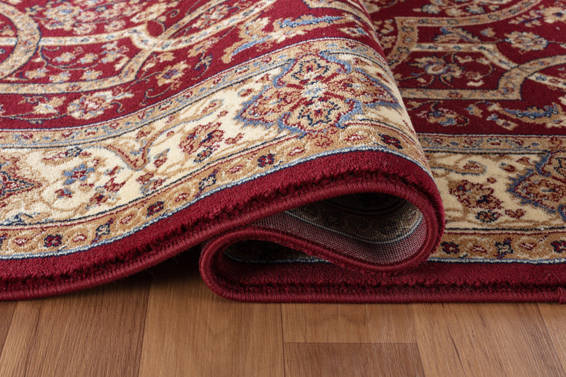 Roya Burgundy Medallion Oriental Area Rugs