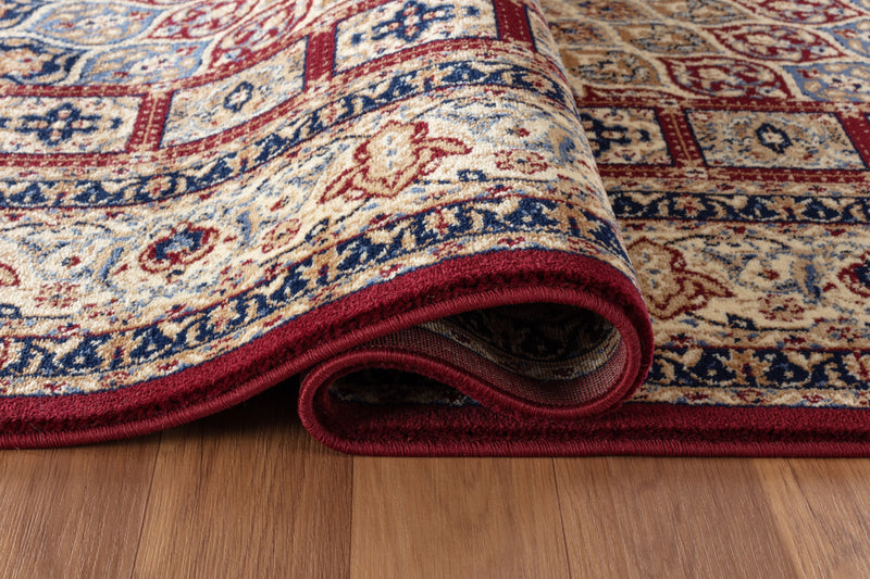 Neda Burgundy Medallion Oriental Area Rugs