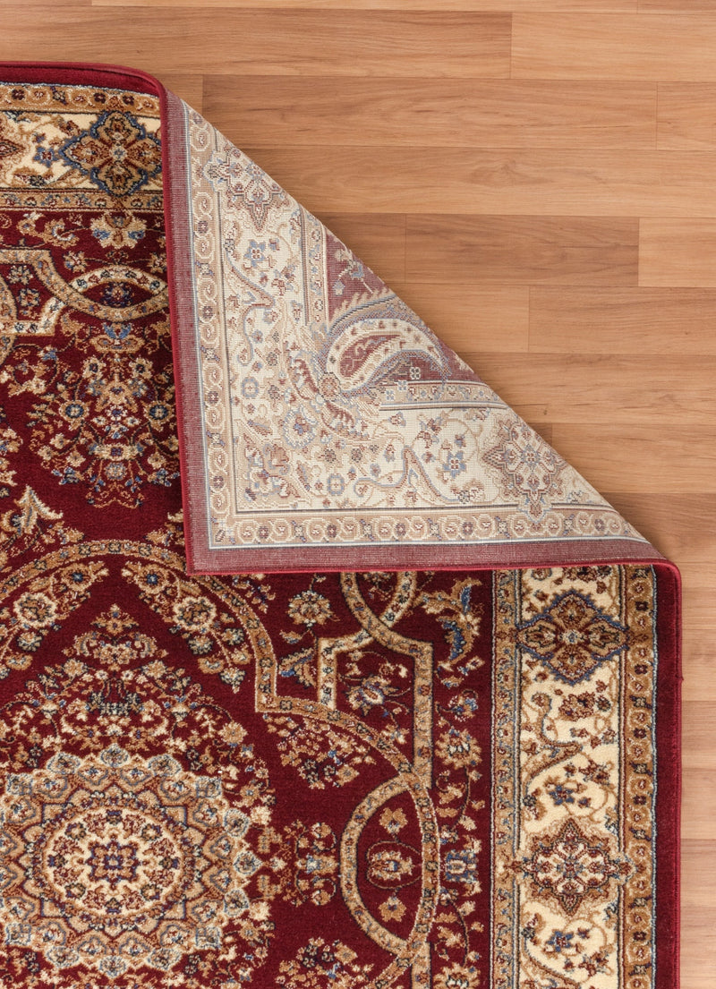 Roya Burgundy Medallion Oriental Area Rugs