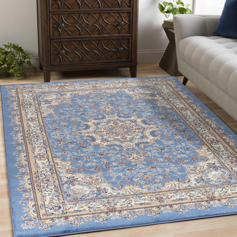 Yasmin Blue Victorian Oriental Area Rugs