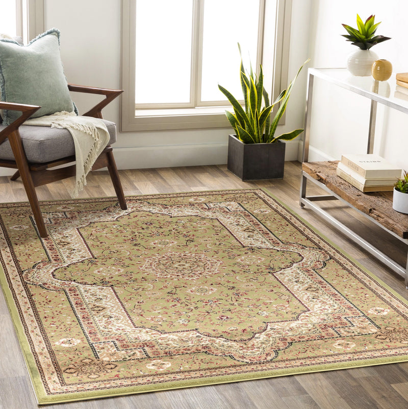 Parisa Green Victorian Oriental Area Rugs