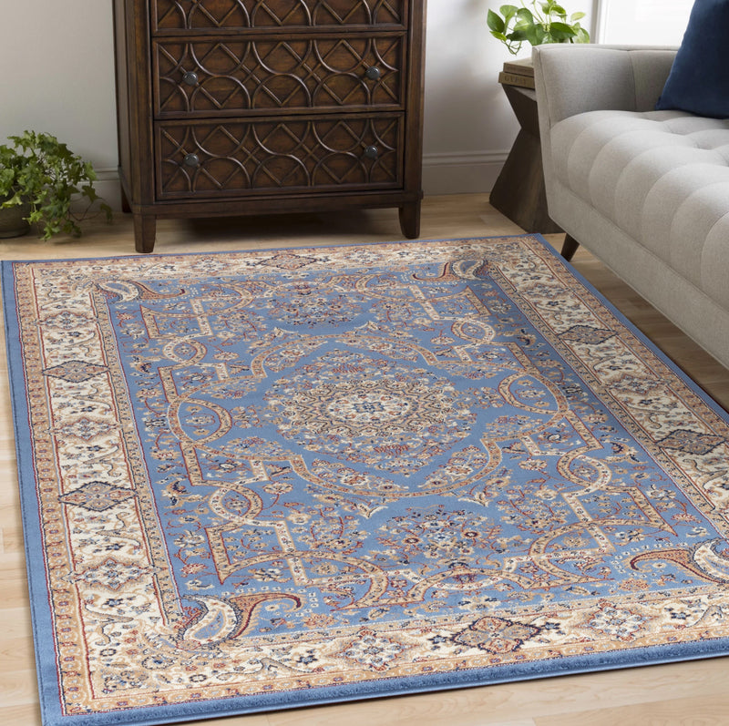 Roya Navy Blue Medallion Oriental Area Rugs